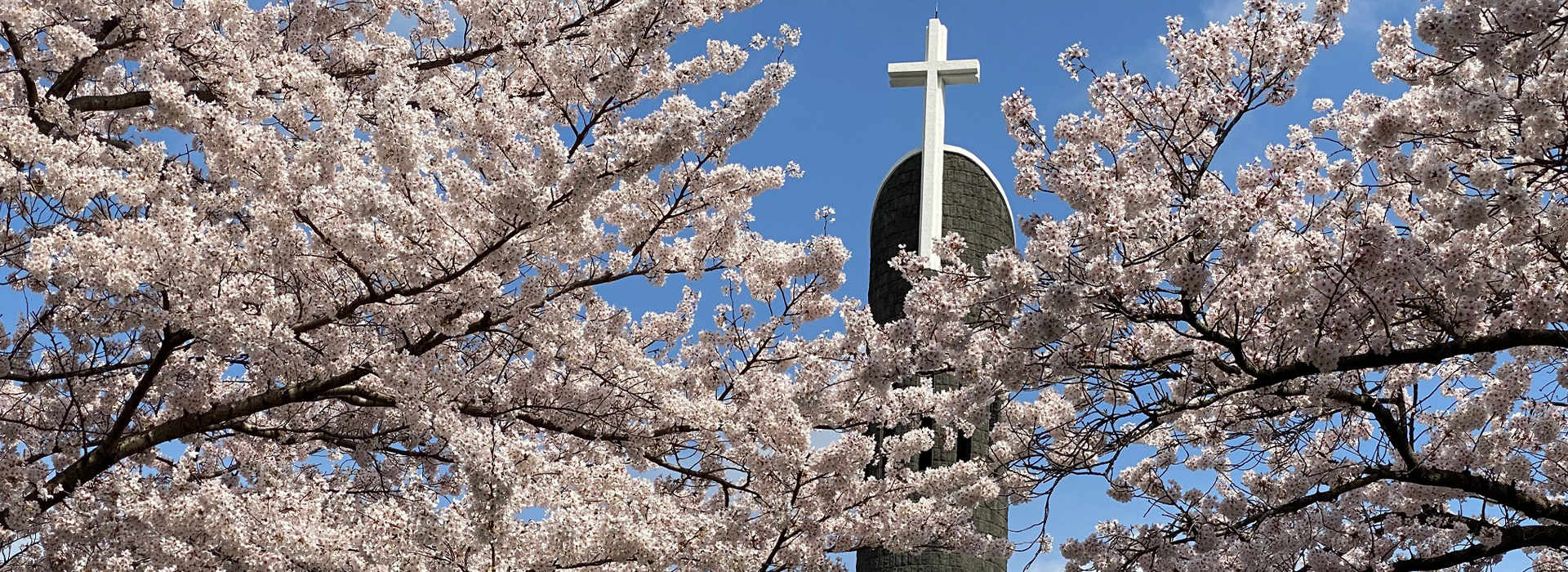 천주교 신제주 성당